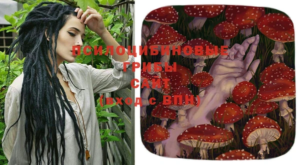MDMA Вяземский